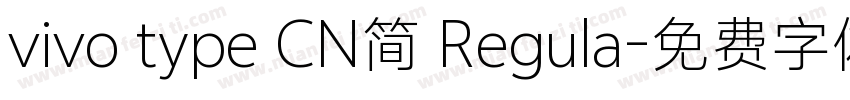 vivo type CN简 Regula字体转换